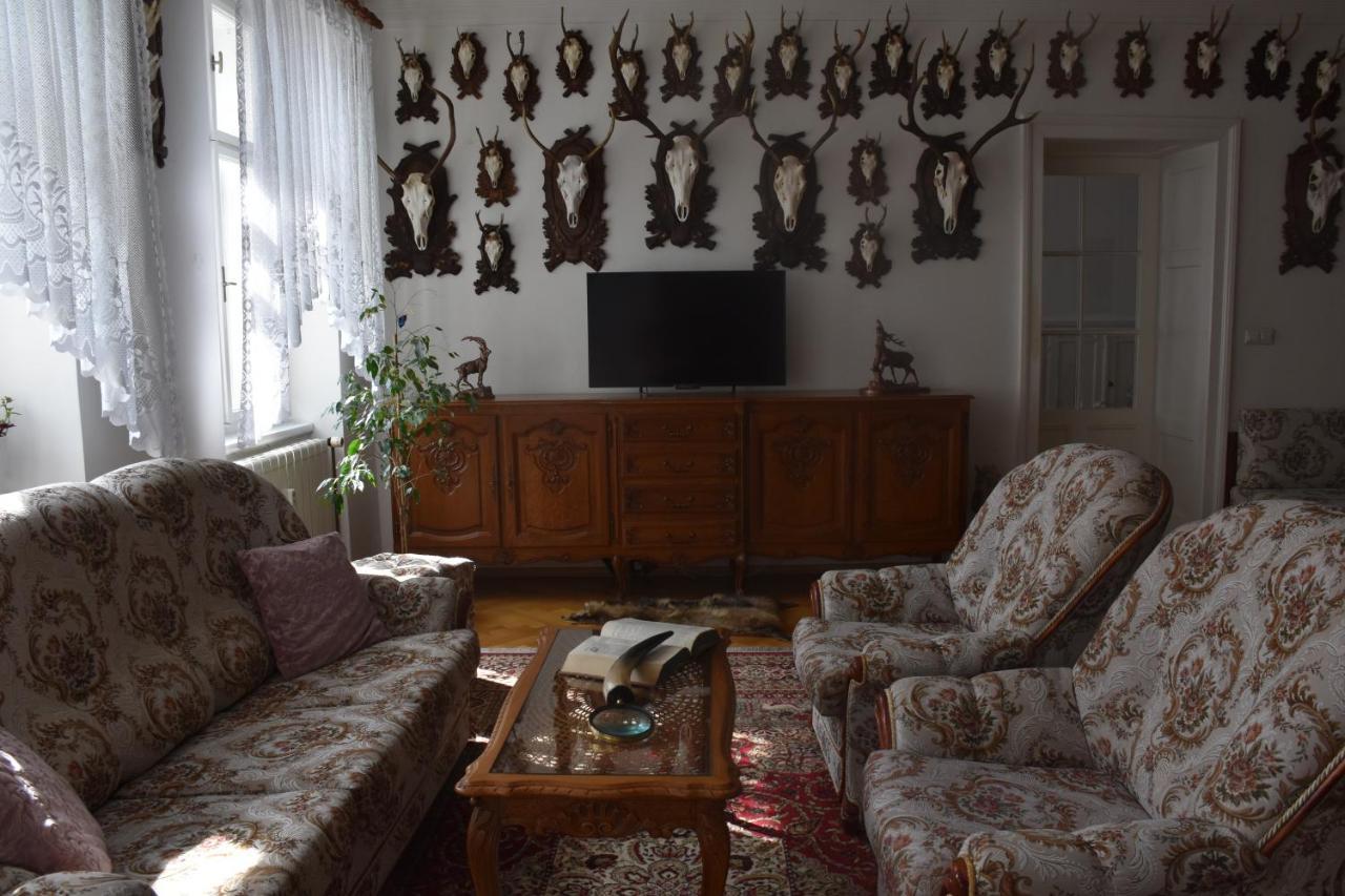 Lovecky Apartman Na Namesti Ve Frenstate Pod Radhostem Frenštát pod Radhoštěm Εξωτερικό φωτογραφία